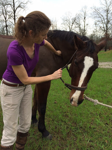 Aiken Equine Veterinary Associates - Thumbnail