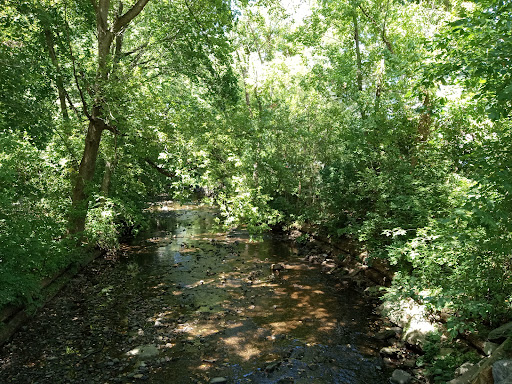 Ralph Morgan Park