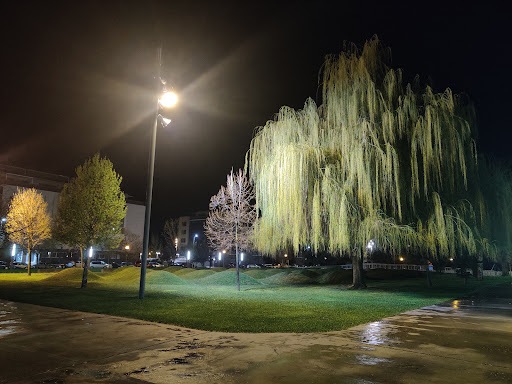 Olas Park - Visual