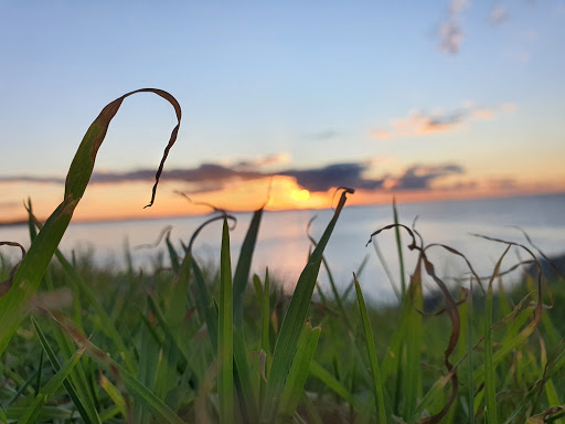 Mt. Puheke Lookout - Thumbnail