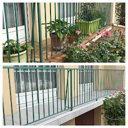 Photo n°6 de GUY CAZIN - TRAVAUX DE LA MAISON AU JARDIN à Saulx-Marchais (Paysagiste)