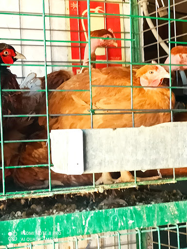 Agricentro Miguel - Thumbnail
