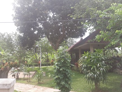 Photos of Momo Garden