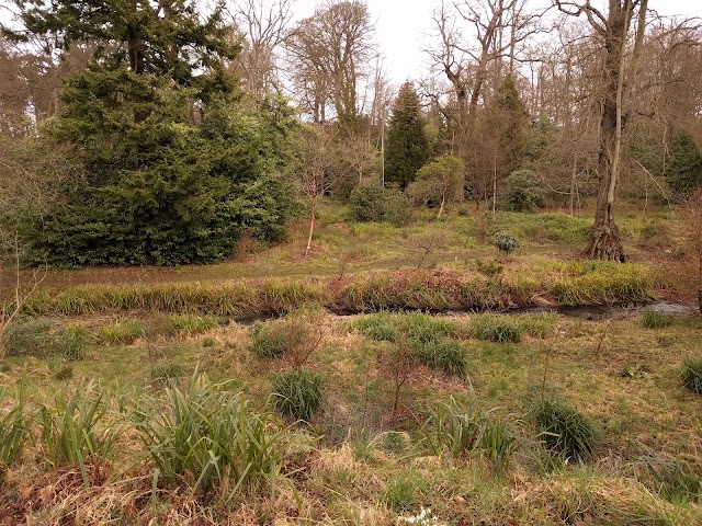 Howick Hall Gardens