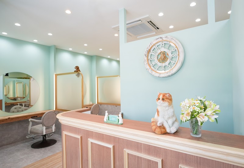 美容室Anphi アンフィ鶴間