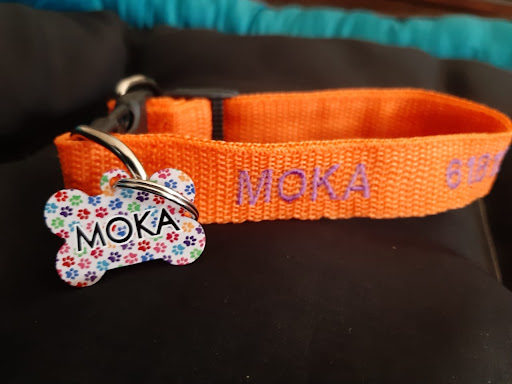 MIPEKICHA - Thumbnail