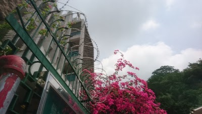Photos of The Church of Christ in China Shum Oi Church Kindergarten