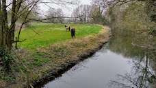 Byron’s Pool LNR cambridge