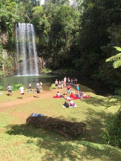 Photos of Millaa Millaa Lookout