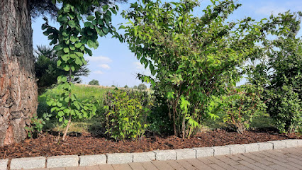 FABIAN SCHMIDT Gartenbau & Gartenpflege / Entrümpelungen