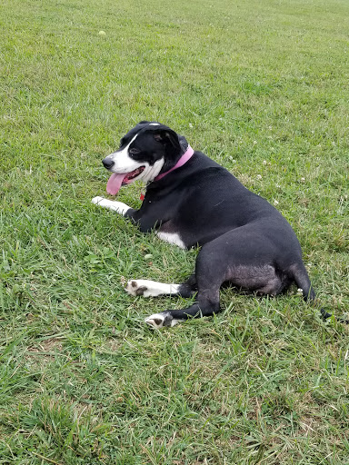 Maize Memorial Dog Park, llc