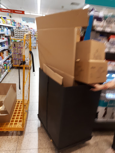REWE Eileen Scholz - Visual