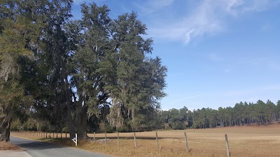 Photos of Bradley's Pond