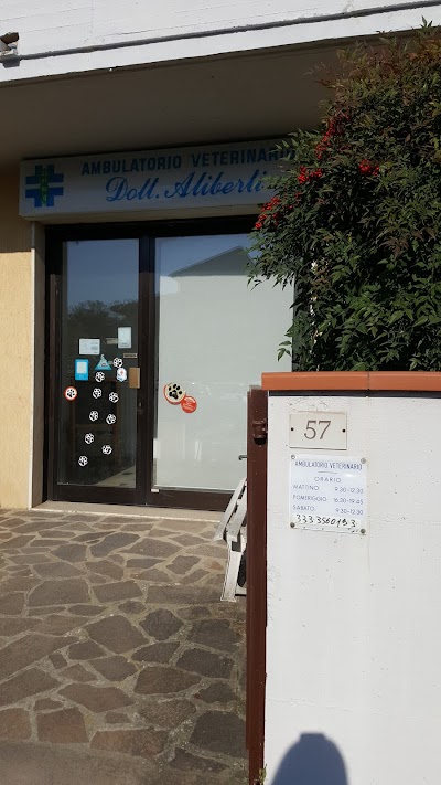 Ambulatorio Veterinario Di Aliberti Carmine