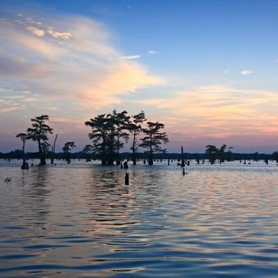 Atchafalaya Basin Landing Airboat Swamp Tours