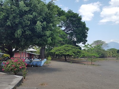Photos of El Tesoro Beach Hotel