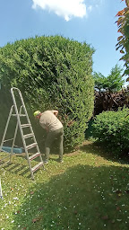 Photo n°2 de Jardinier - Ashot à Saint-Leu-la-Forêt (Peintre en bâtiment)