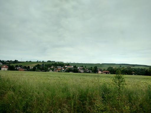 Steinpleis - Visual