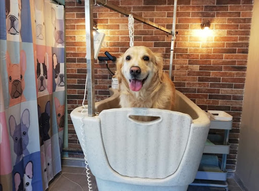 Natur'dog toilettage