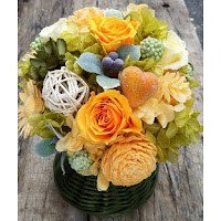 マトバフローリスト