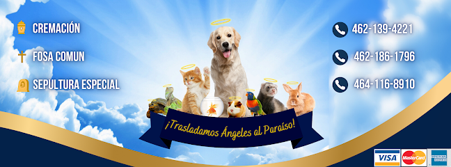El Paraíso De Mi Amigo