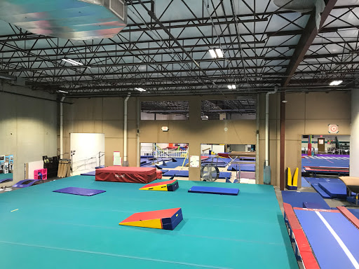 Mega Gymnastics - Visual