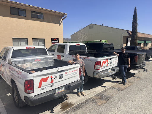 Avatar for Mammoth Restoration | Prescott