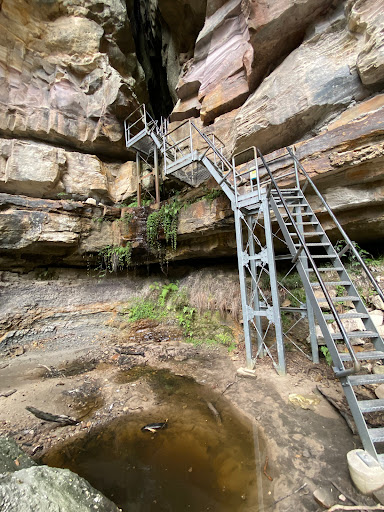 Carnarvon Gorge camping area, Carnarvon National Park - Thumbnail