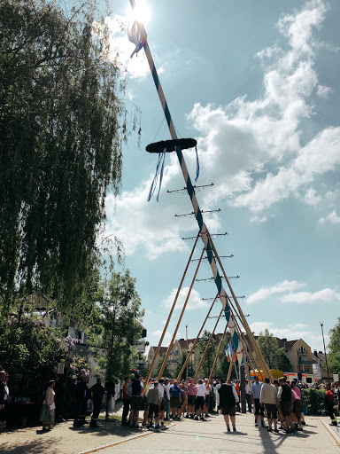 Maibaum Olching - Thumbnail