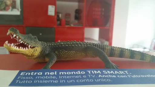 Caymano Di Barzetti Catia E C. Sas - Thumbnail