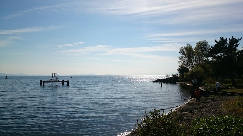 湖岸緑地 姉川河口