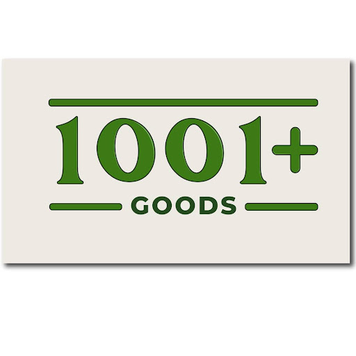 1001 PLUS - Visual