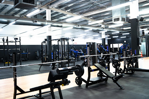 Fitness Portal Petone - Thumbnail
