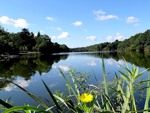 Photo n°17 de Logis Hôtel Côté Lac à Savenay (Restaurant)