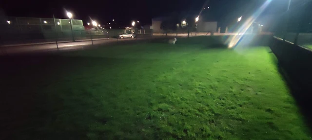 para perros sueltos de Navia Park