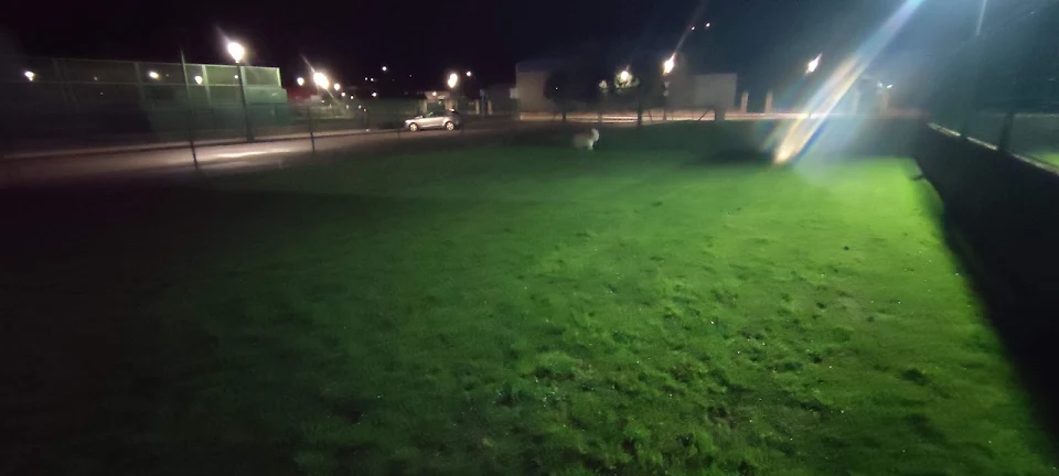 para perros sueltos de Navia Park photo