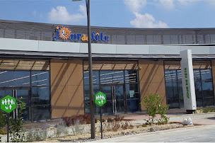 Photo n°39 de Jour de Fête à Saint-Parres-aux-Tertres (Magasin de déguisements)