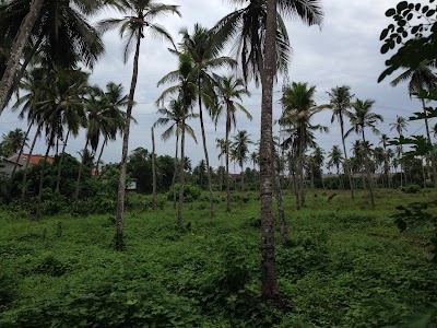 Photos of Hettiya Watta