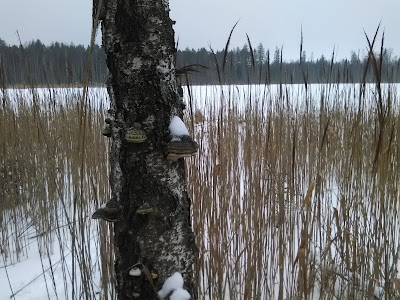 Photos of Paunk&uuml;la L&otilde;kkekoht