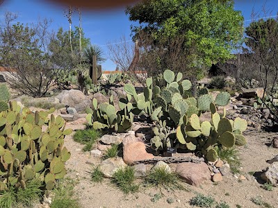 The Chiricahua Desert Museum