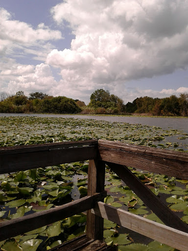R.H. MALCOLM PARK - Visual