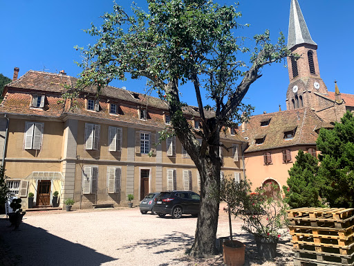 Vignoble André Scherer - France