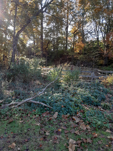 Washington Park Bog Garden - Thumbnail