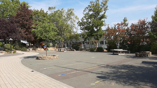 Degerfeldschule - Visual