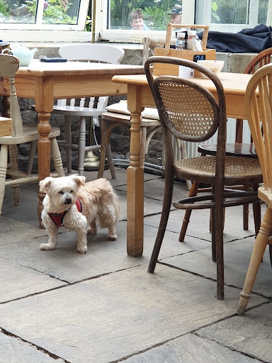 Applestore Cafe - Thumbnail