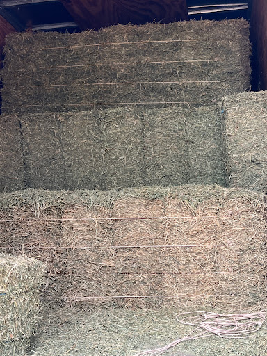 64 West Hay and Feed - Thumbnail