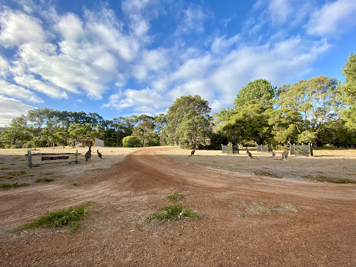 Mohanji Centre of Benevolence - Australia - Thumbnail