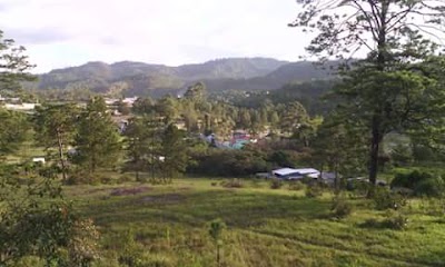 Photos of Metropolitan School