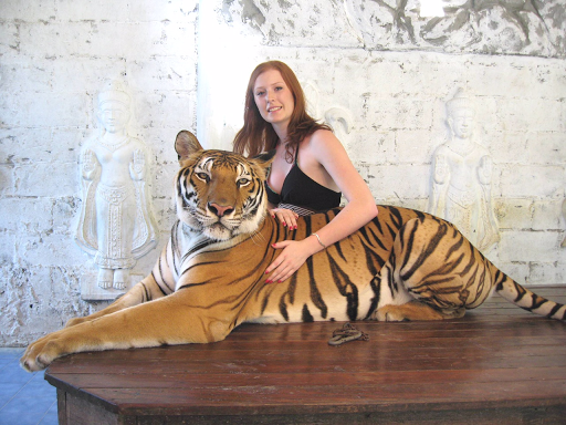 Samui Aquarium & Tiger Zoo