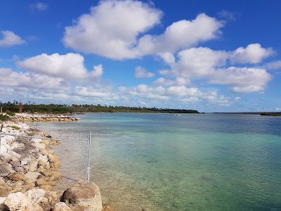 Photos of Mclean's Town Cay